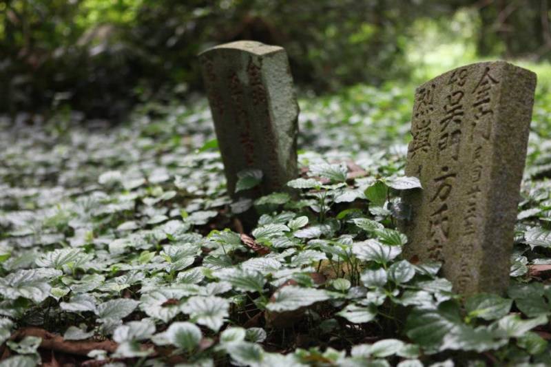 【Museums Link Asia-Pacific】Land of Ancestors – Preservation Issue on the Bukit Brown Cemetery, Singapore