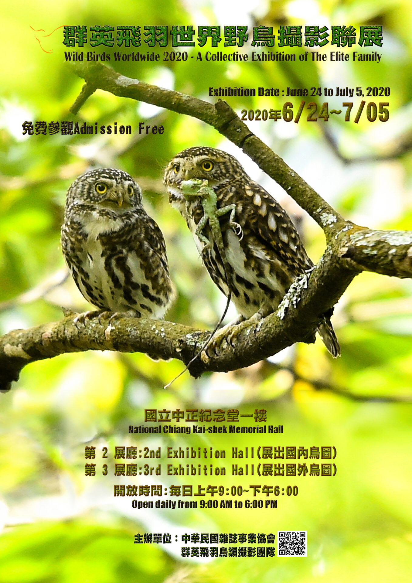 國立中正紀念堂管理處：2020/06/24-07/05【群英飛羽世界野鳥攝影聯展】
