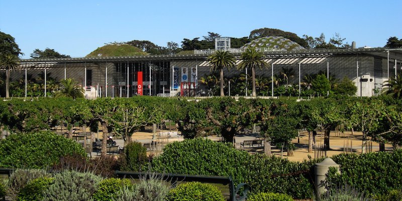 【博物之島專文】一張綠毯下的博物館－舊金山加州科學院 （一）