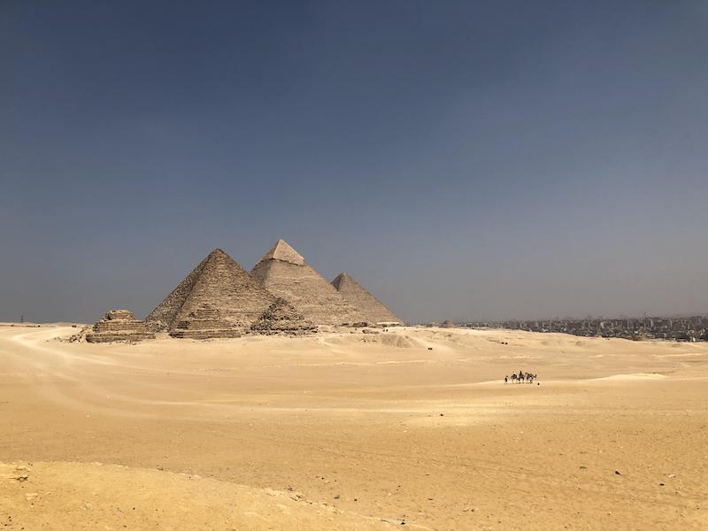 【博物之島新訊】法老黃金遊行的背後—回顧埃及文物保存的過往點滴