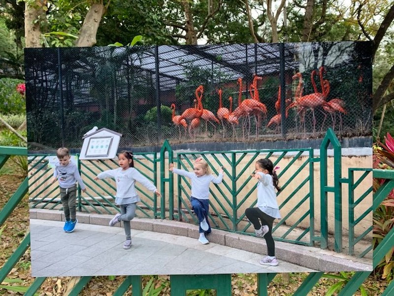 【博物之島新訊】邂逅香港動植物公園—結合自然、歷史與藝術的生態博物館