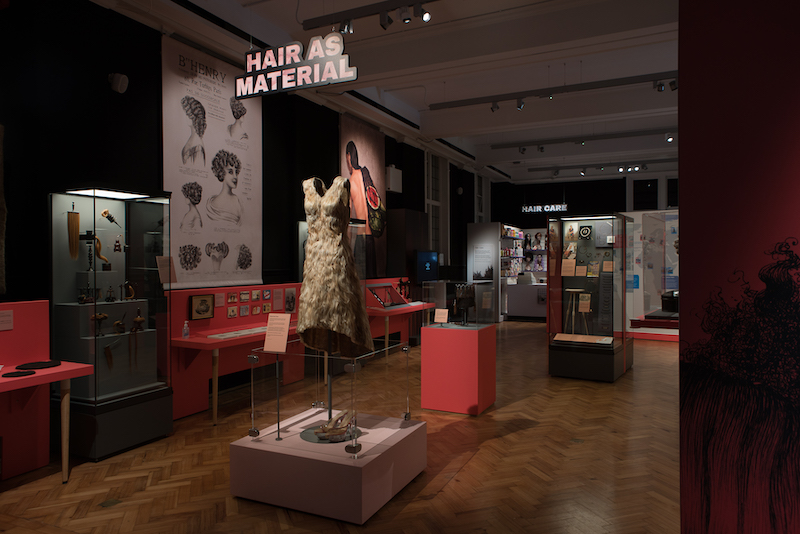 【博物之島新訊】頂上千絲的箇中奧秘？倫敦霍尼曼博物館特展探索「頭髮：不為人知的故事」